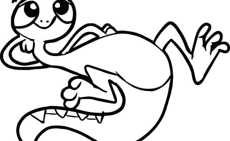 800x491 Green Iguana Coloring Pages Sunflower Sheets Gardening Flower