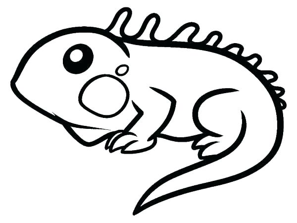 600x450 Iguana Coloring Pages Printable Iguana Coloring Page Free
