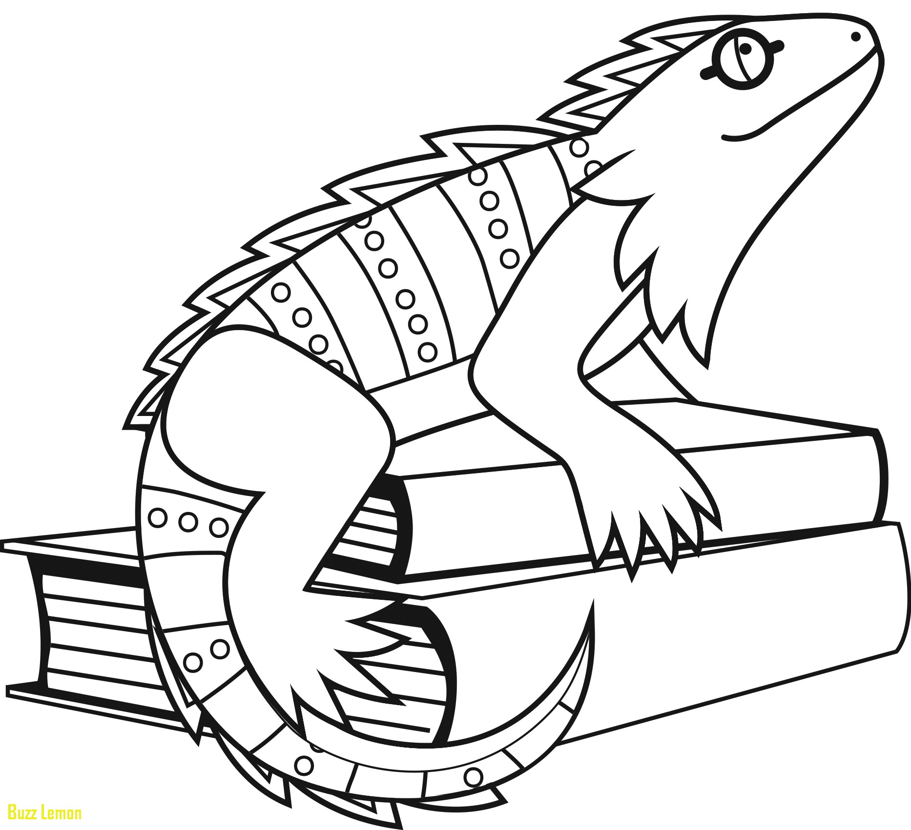 1866x1702 Best Of Coloring Page Iguana Buzz Coloring