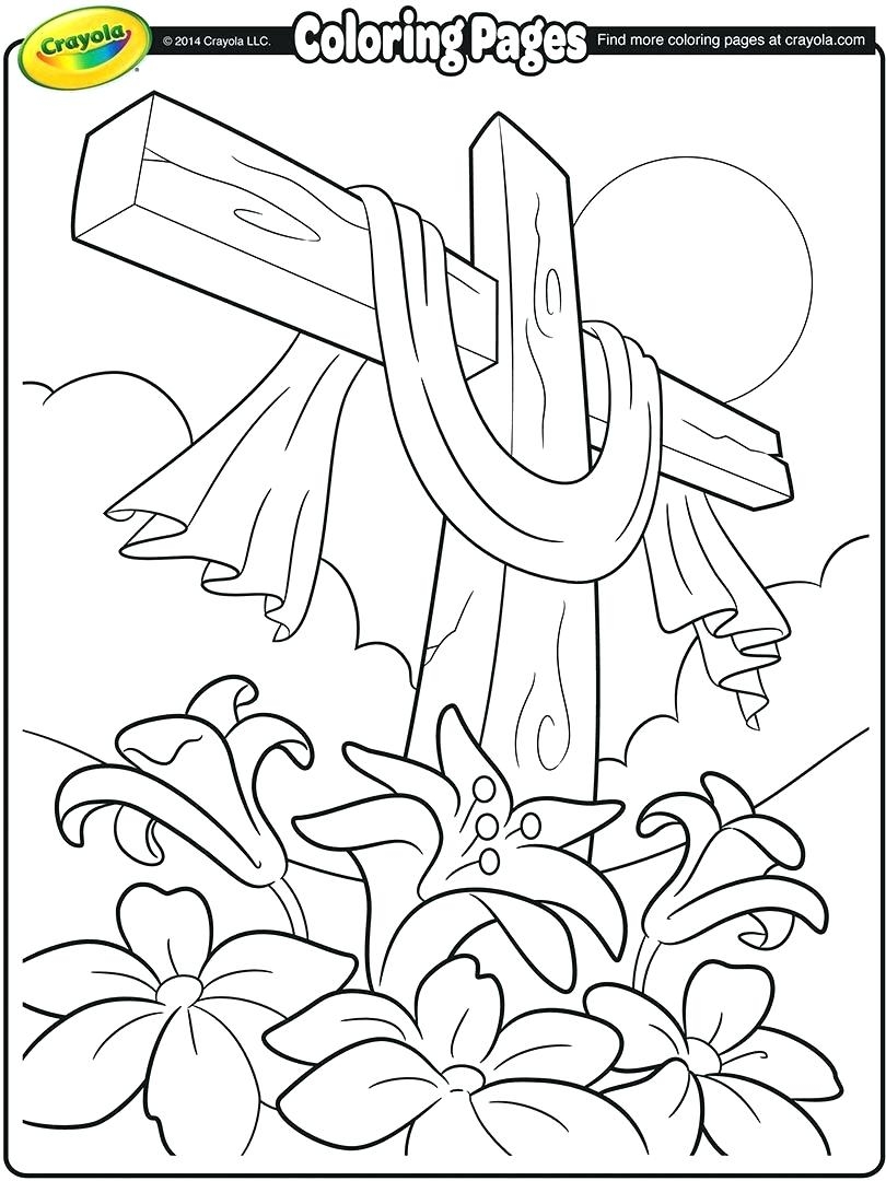 810x1080 Illinois State Flower Coloring Page New Coloring Sheets