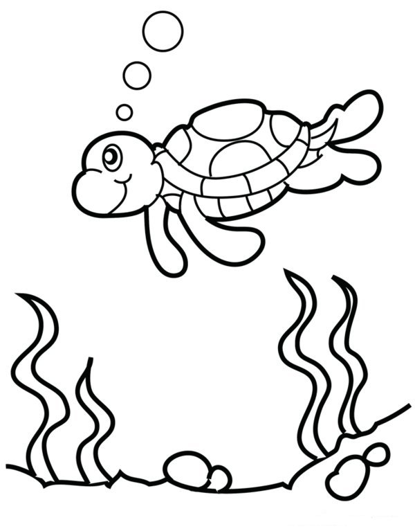 600x764 Sorry Coloring Page