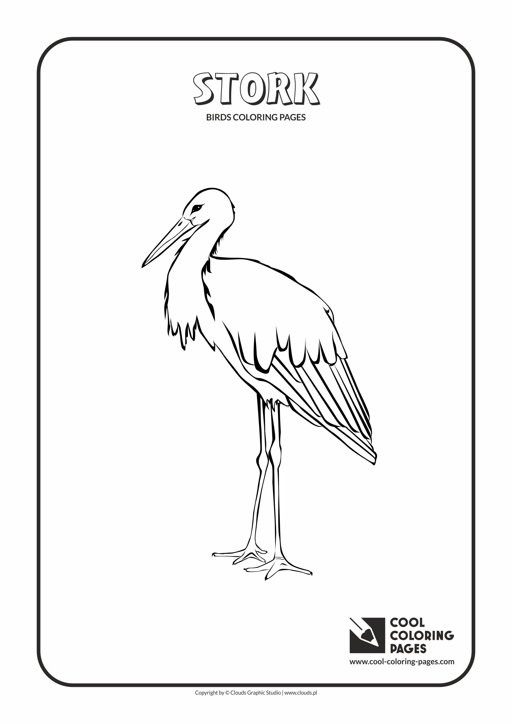 1654x2339 Cool Coloring Pages Birds Coloring Pages