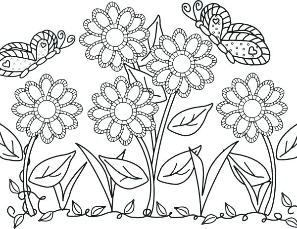 600x464 Flowers Coloring Sheets Flowers Coloring Pages For Toddlers