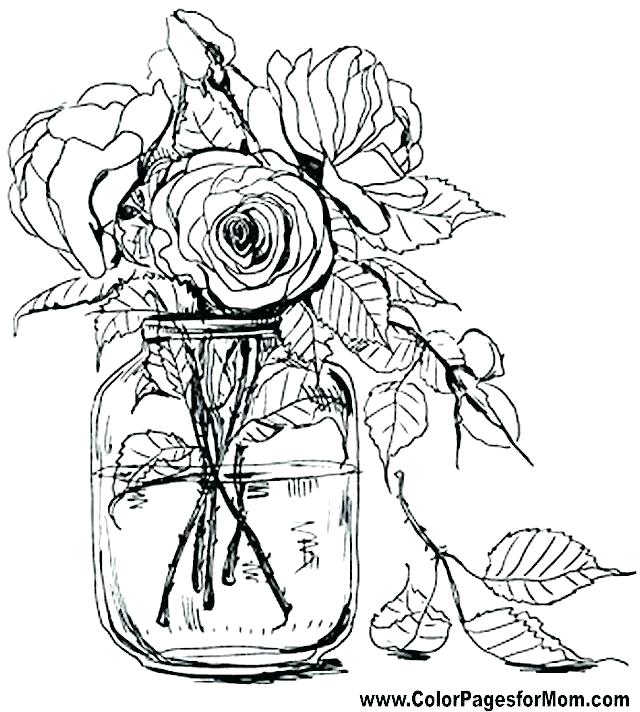 640x712 Free Coloring Pages Flowers Free Coloring Pages Flowers This Is