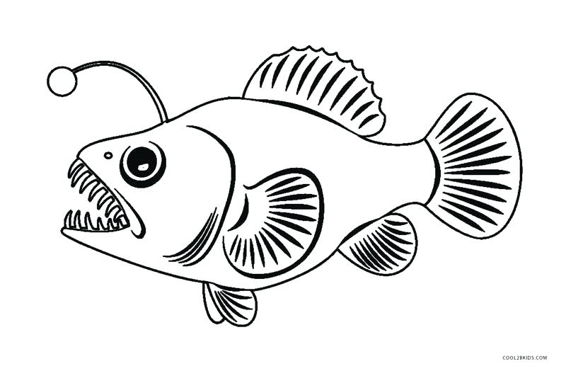 Images Of Fish Coloring Pages