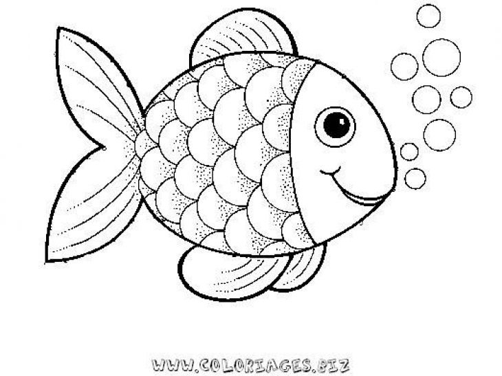 730x547 Preschool Rainbow Fish Coloring Sheet To Print For Free Creative