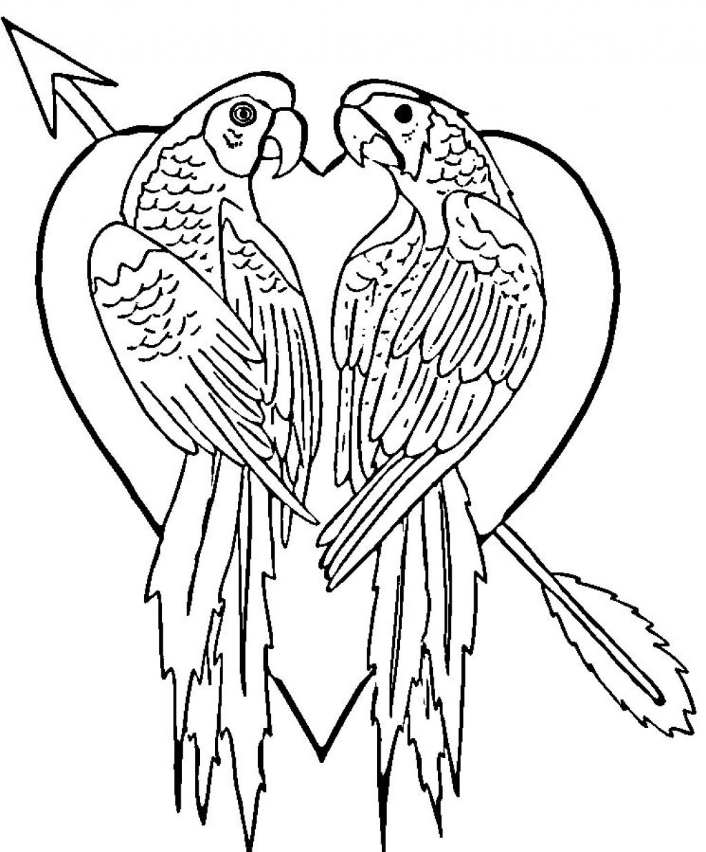 1024x1235 Imagination Coloring Pages Of Parrots Limited Bird Page With Free