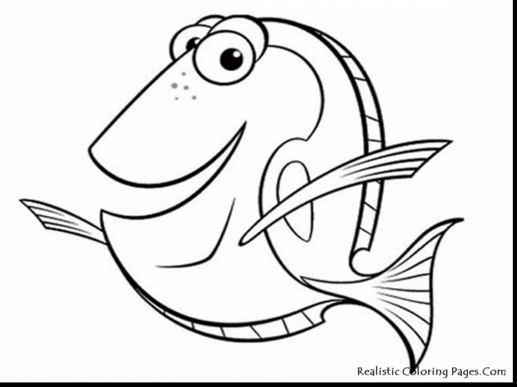 1024x768 Coloring Pages Fish Erf Coloring