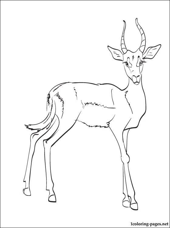 560x750 Impala Coloring Page Coloring Pages
