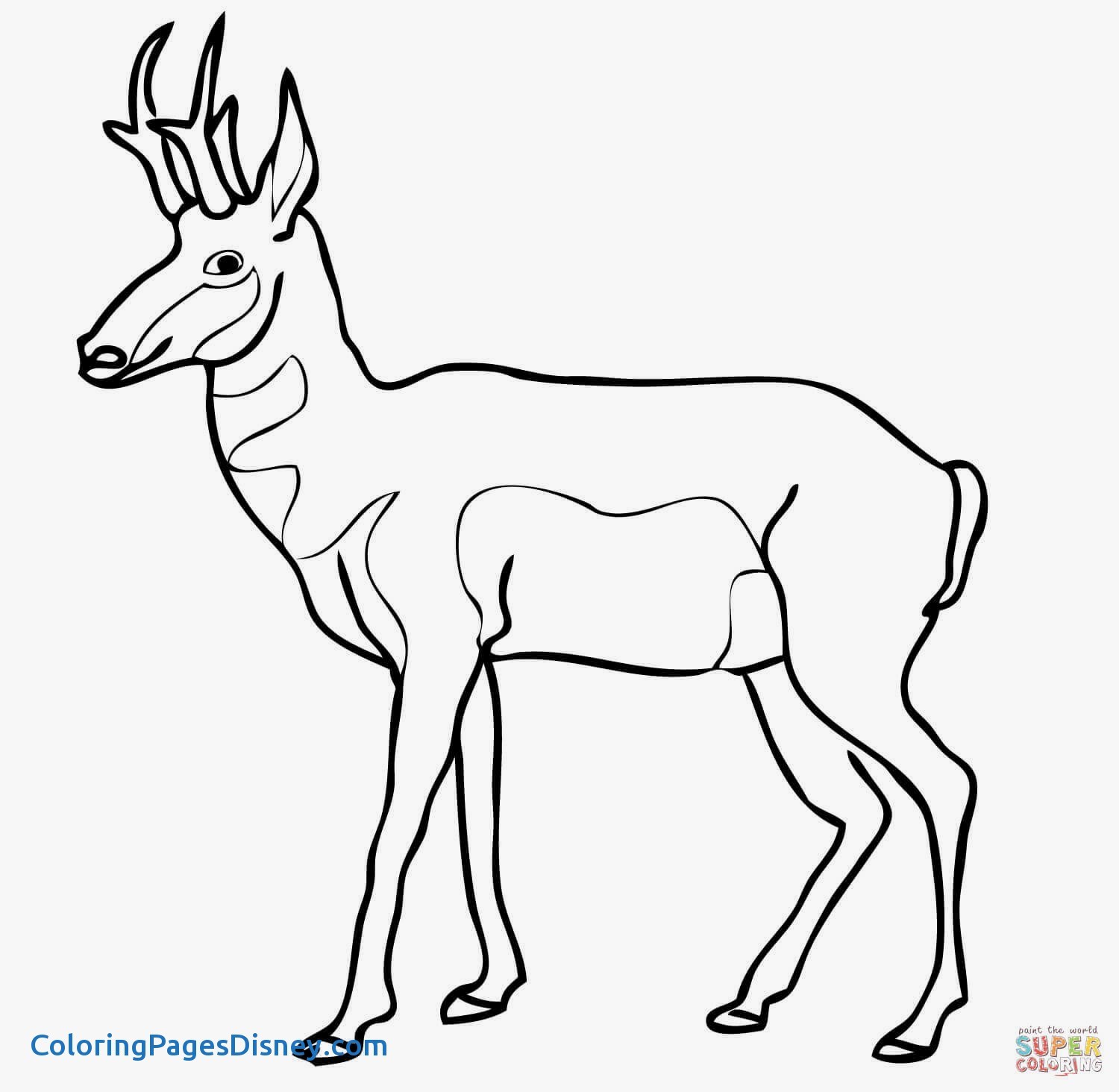 1500x1464 Saiga Coloring Pages Awesome Realistic Impala Coloring Page