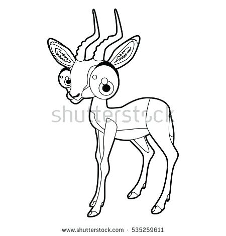 450x470 Impala Animal Coloring Pages Transasia