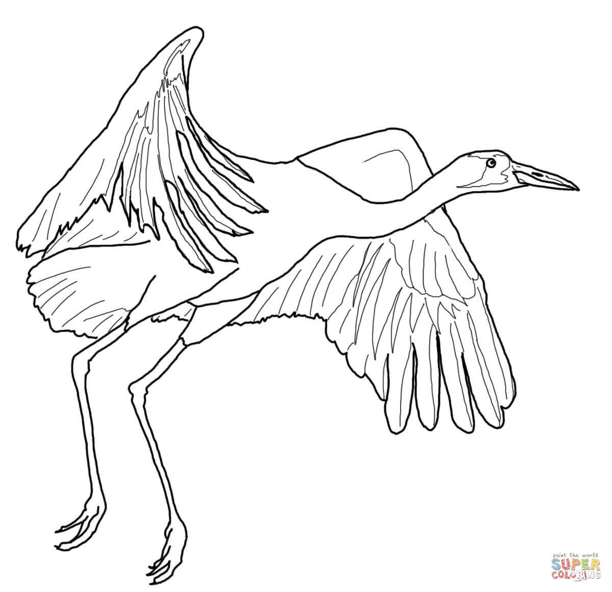 1200x1160 Awesome Crane Page To Color Collection Printable Coloring Sheet