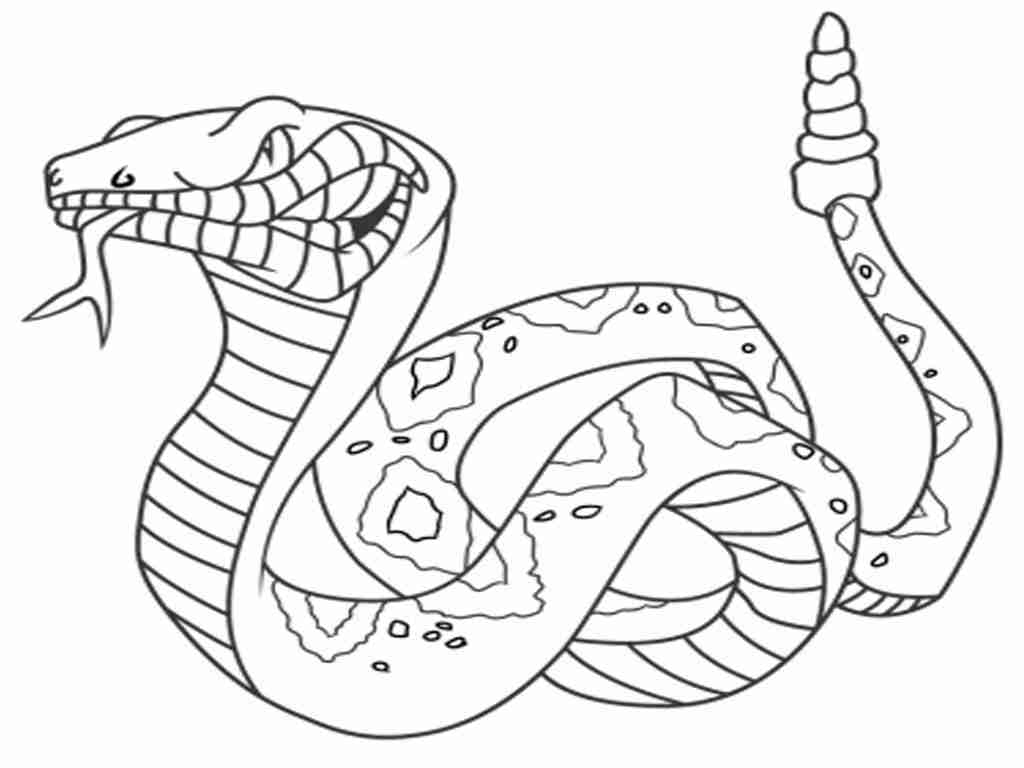 1024x768 Katy Perry Coloring Pages Ngbasic Com Entrancing In Coloring