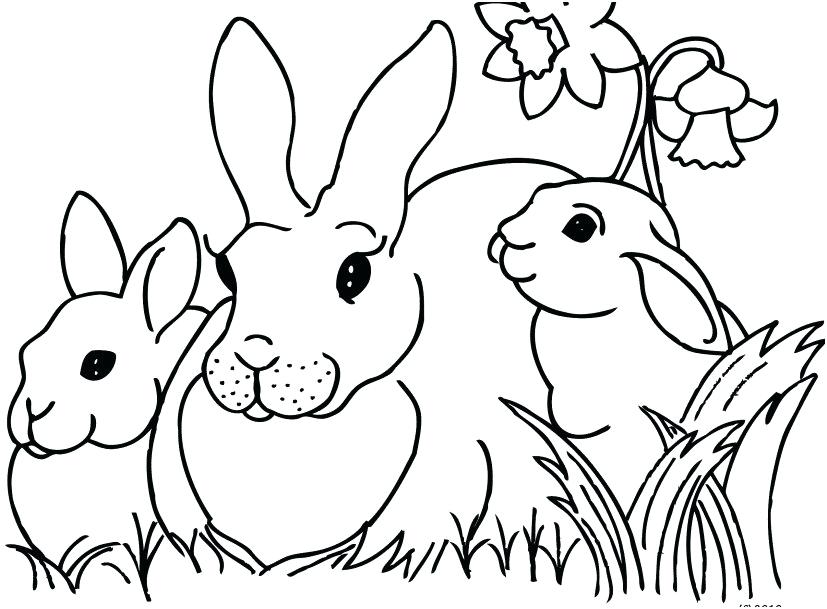 827x609 Easter Bunny Coloring Pages Free Printable Bunny Coloring Page