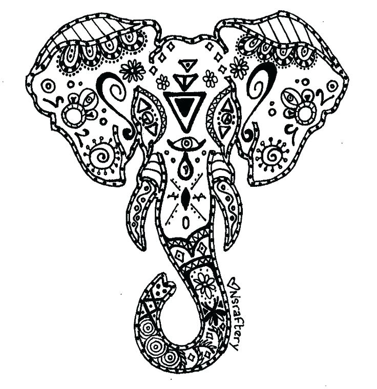 736x760 Elephant Coloring Page Elephant Head Coloring Page Head Free