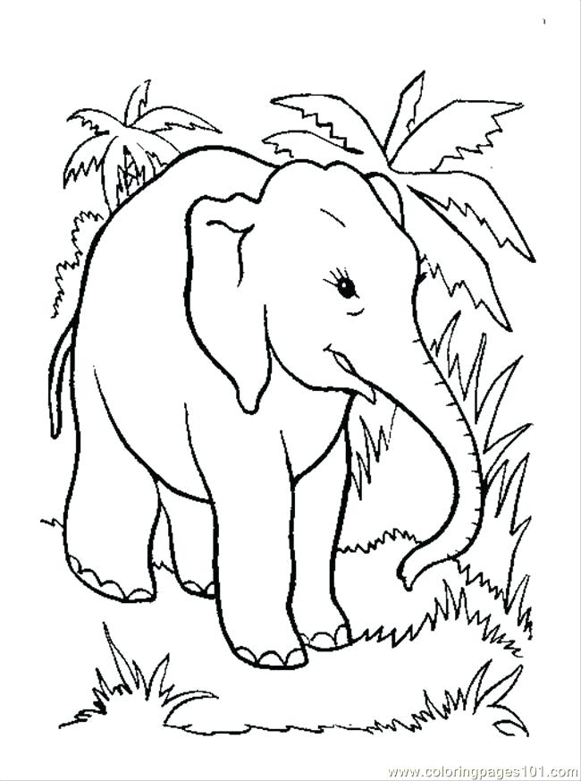 650x873 Elephant Coloring Pages Elephant Coloring Page Coloring Page