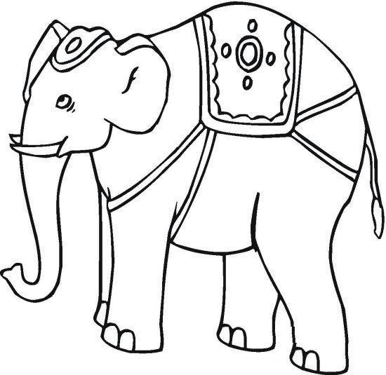 550x535 Indian Elephant Coloring Pages