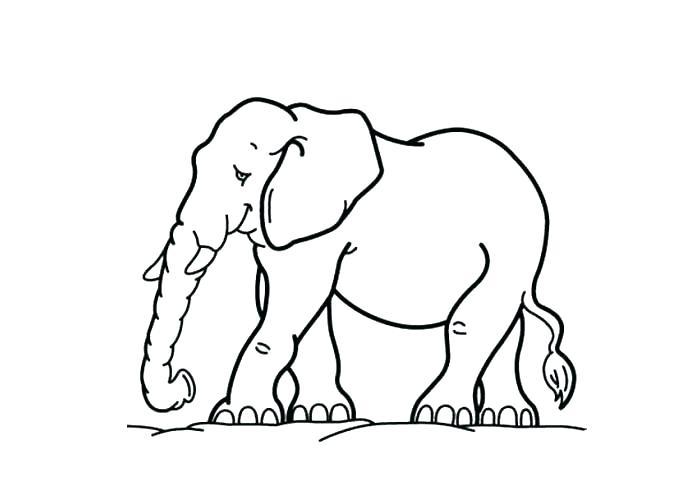 700x500 Elephant Printable Coloring Pages Vanda