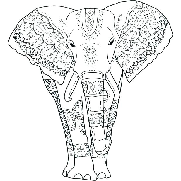 618x618 Elephant Printable Coloring Pages Indian Elephant Coloring Pages