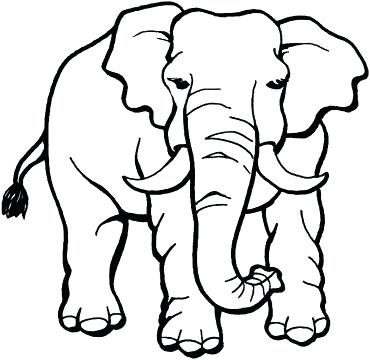 370x360 Elephants Coloring Pages Elephants Coloring Pages Indian Elephant