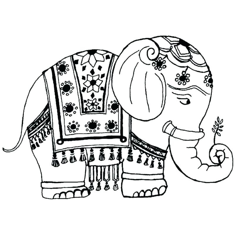 800x800 Indian Elephant Coloring Pages