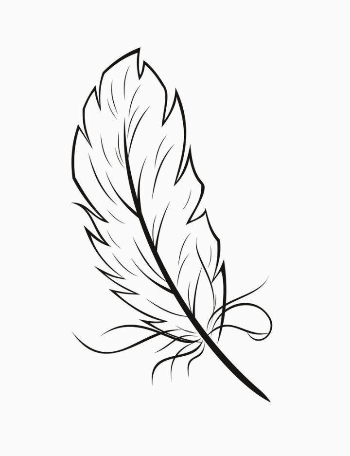 720x937 Feather Coloring Sheet Coloring Pages Feathers