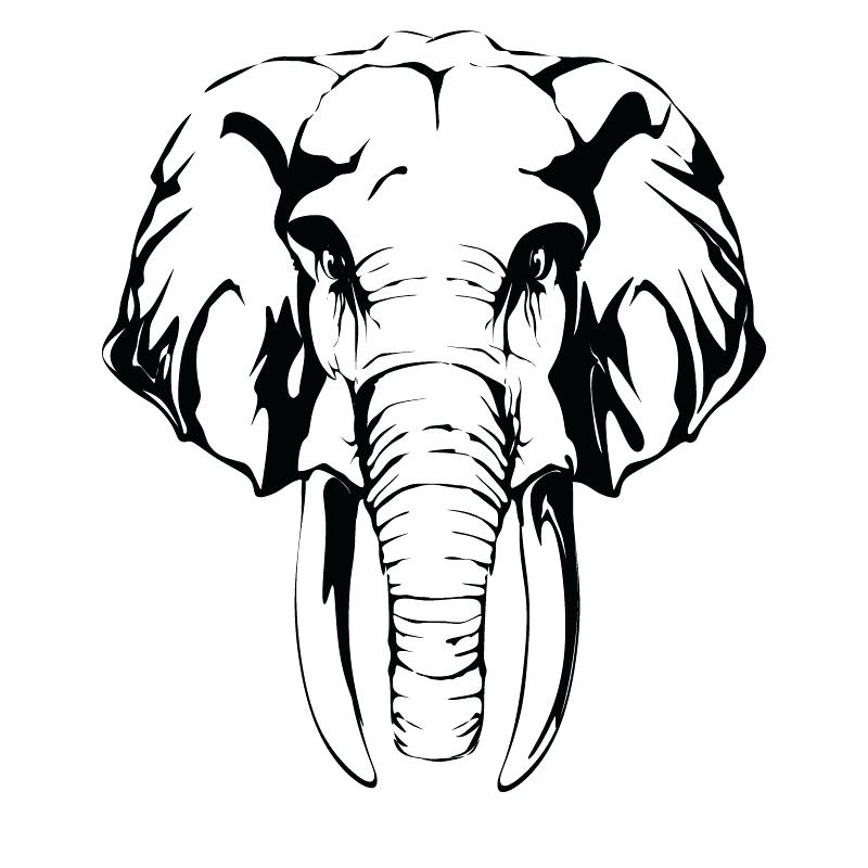 800x800 Elephant Head Coloring Page Elephant Color Page Cute Baby Elephant