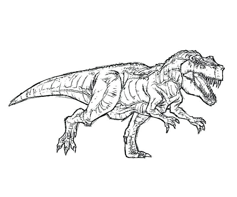 800x667 T Rex Coloring Page Coloring Page Indominus Rex Coloring Sheets