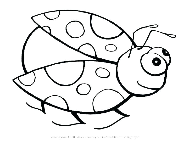790x610 Coloring Pages Of Insects Insects Coloring Simple Coloring Page