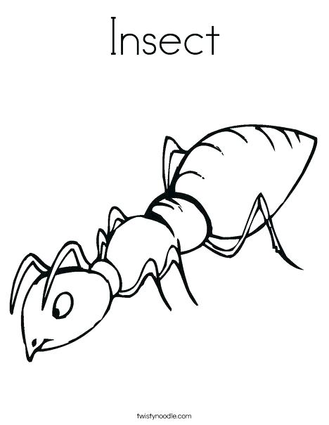 468x605 Insect Color Pages Awesome Ant Coloring Page And Grasshopper Pages
