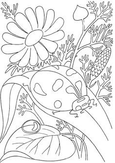 236x333 Adult Coloring, Coloring Ladybugs, Insects Coloring, Ladybug