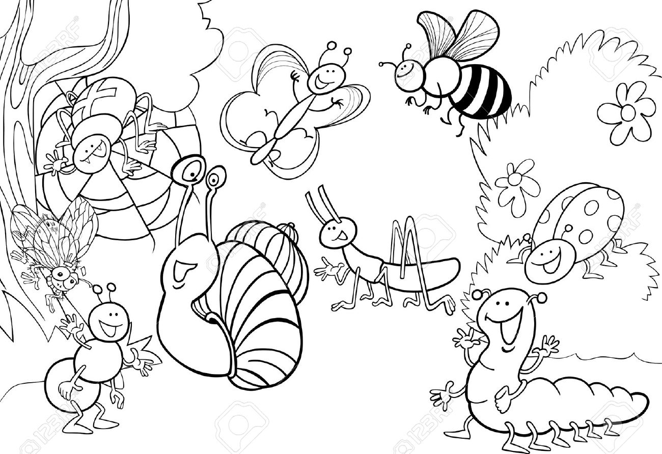 1300x892 Insect Coloring Sheets Amazing Photos With Insects Pages Bug