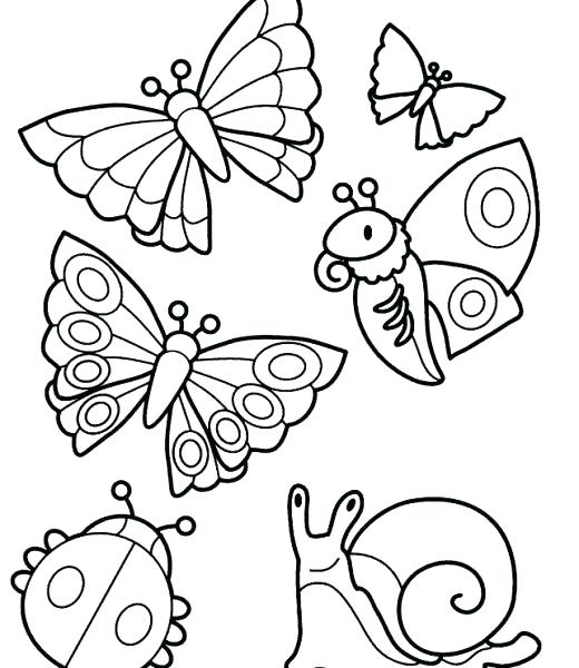 520x600 Insects Coloring Page Insect Coloring Sheets Pages Flowers Insects