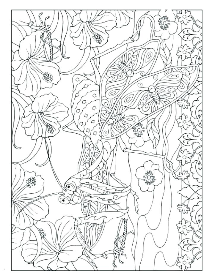 713x936 Insects Coloring Pages Insect Coloring Book Publishing Coloring