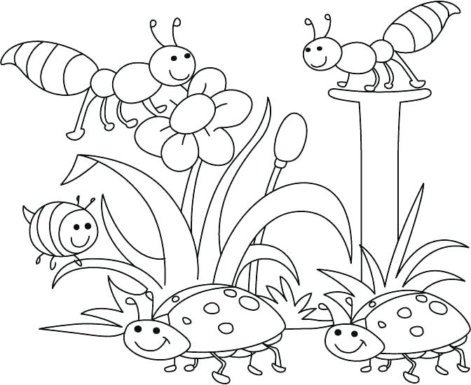 672x550 Insects Coloring Pages Ladybugs Bee To Color In Coloring Page