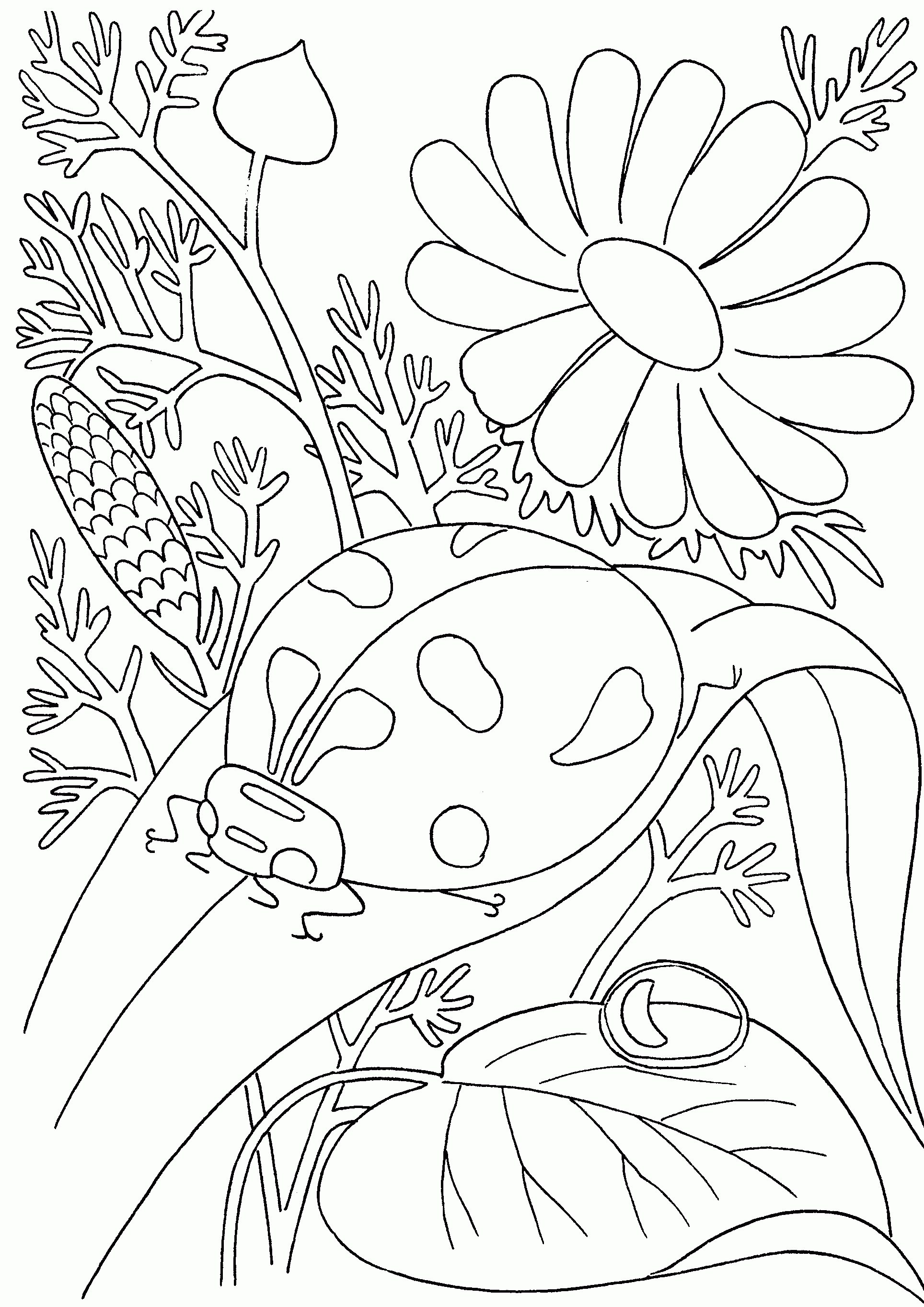 Insect Coloring Pages at GetDrawings | Free download