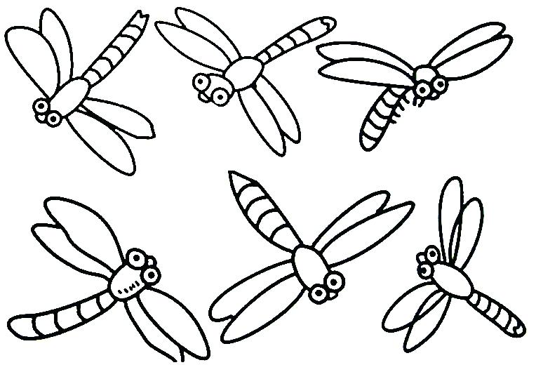 764x520 Insects Coloring Pages