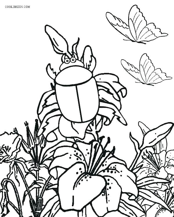 600x750 Coloring Bugs Insect Coloring Page Garden Bugs Coloring Pages