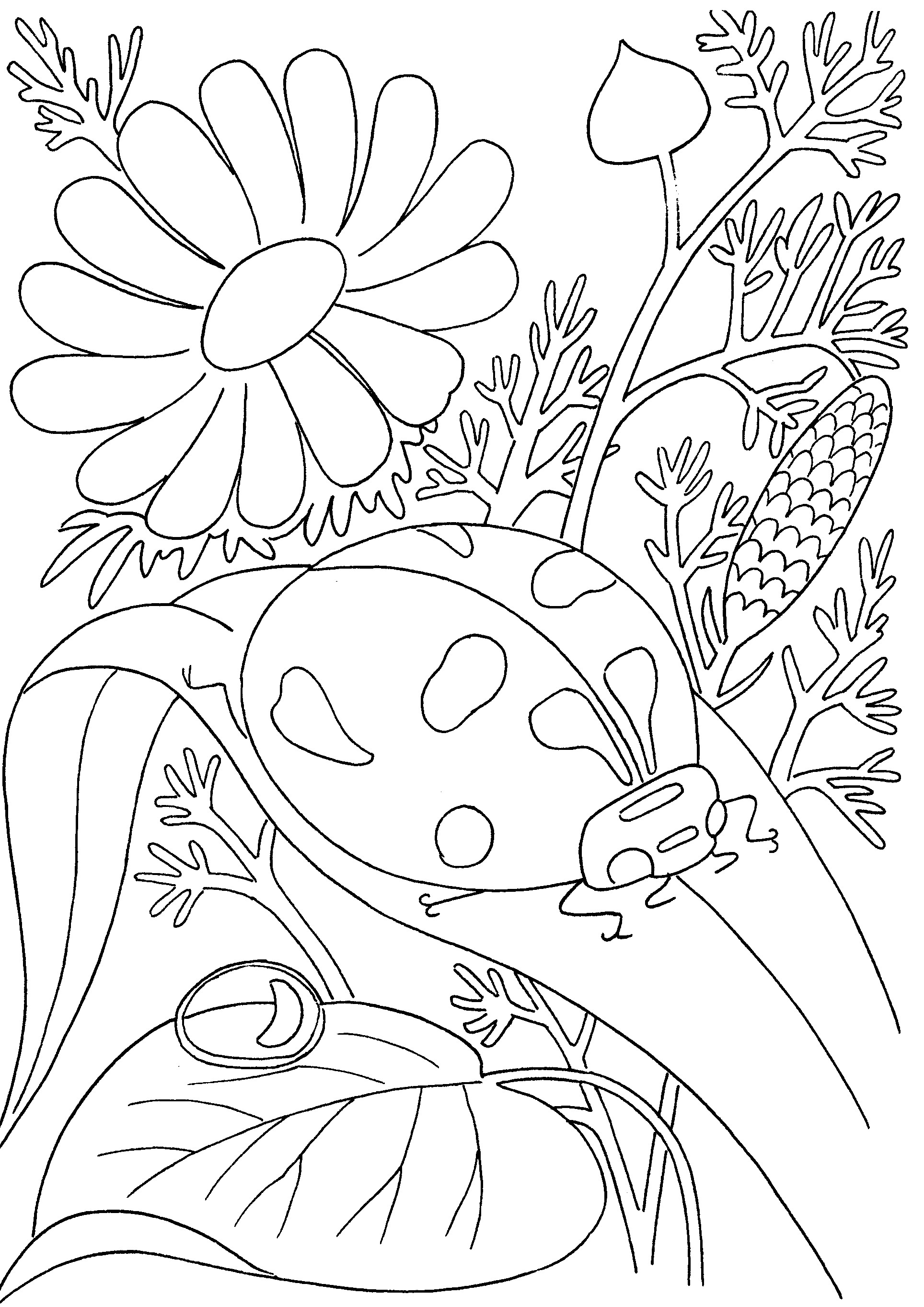1928x2726 Gardening Coloring Pages For Kindergarten New Garden Coloring