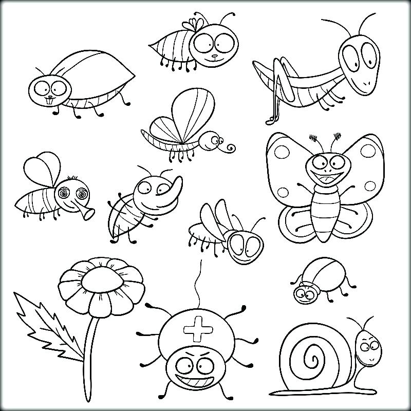 800x800 Insect Coloring Pages Insects Coloring Pages To Print Out Kids