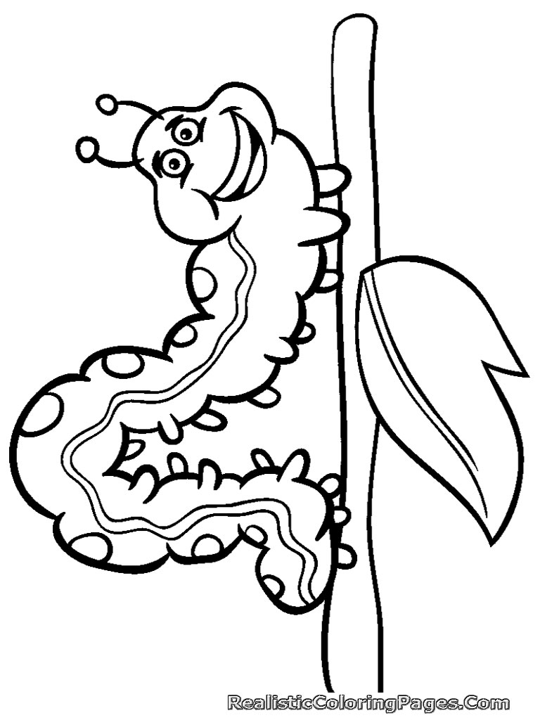 768x1024 Insects Coloring Pages
