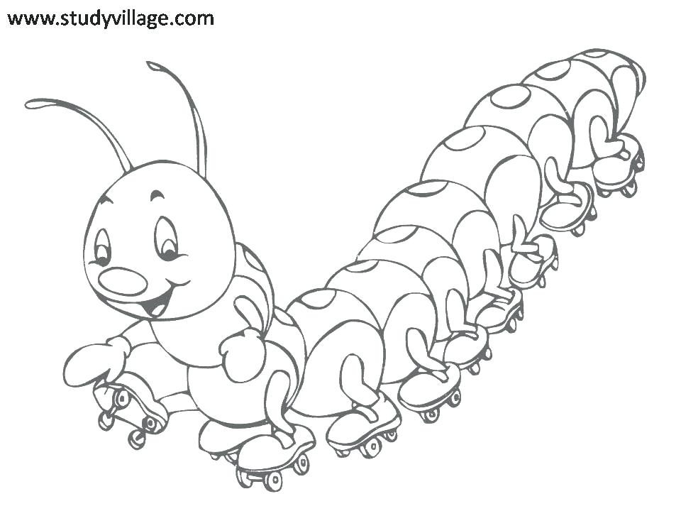 960x720 Insects Coloring Pages Bugs And Insects Coloring Pages Printable
