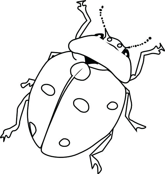 564x595 Awesome Of Printable Bug Coloring Pages Image Coloring Pages