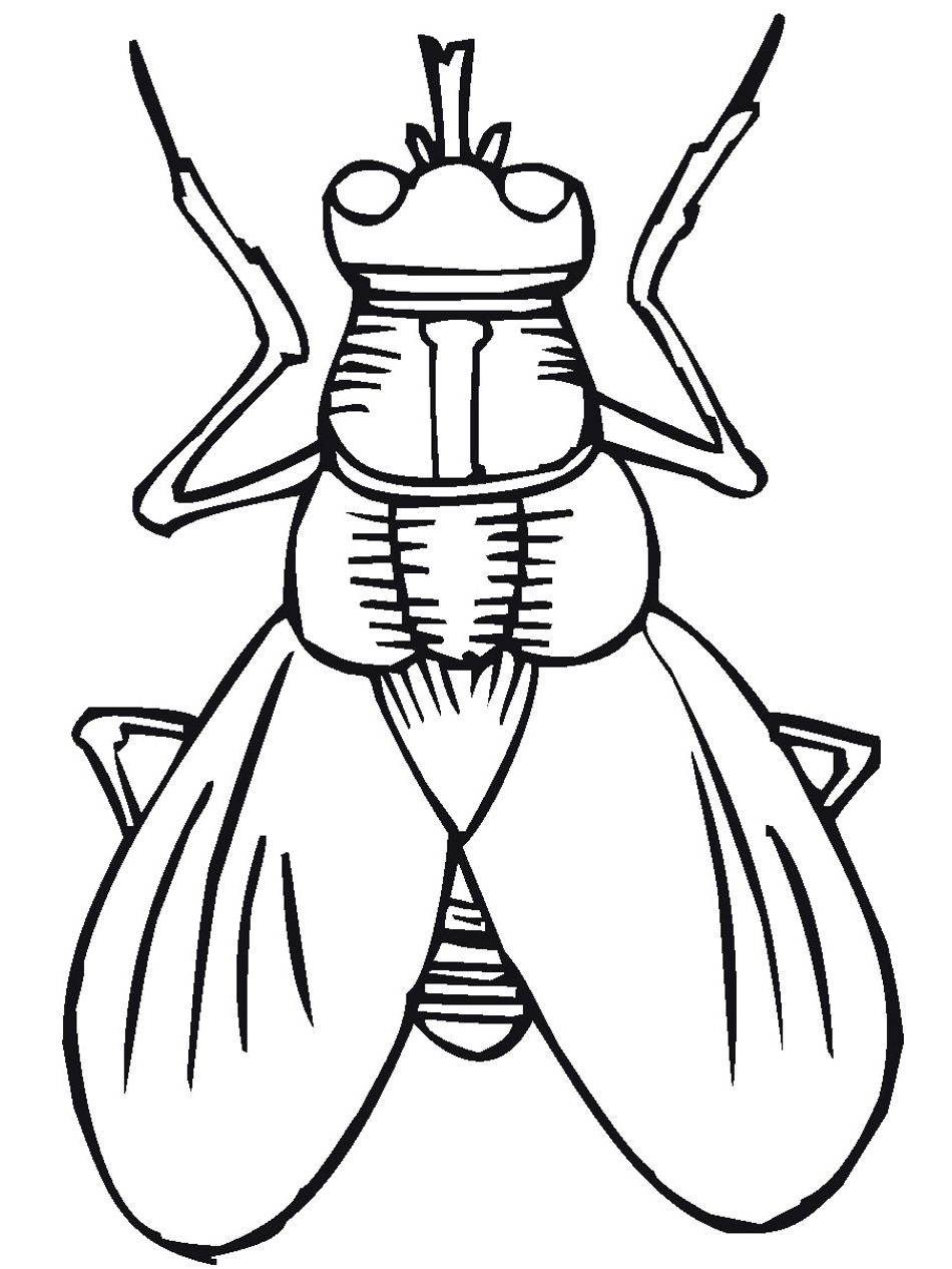 950x1266 Flying Insect Coloring Pages To Print The Stinky Cheese Man
