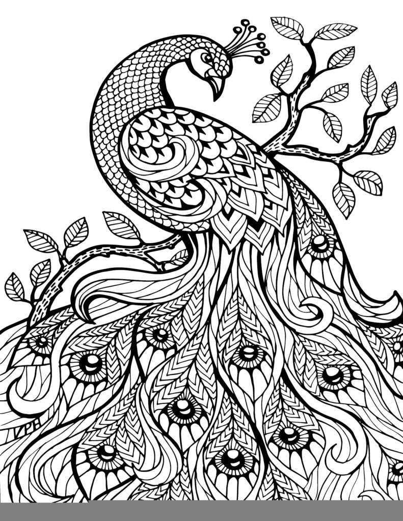 791x1024 Interesting Coloring Pages For Adults Zentangle Coloring Pages