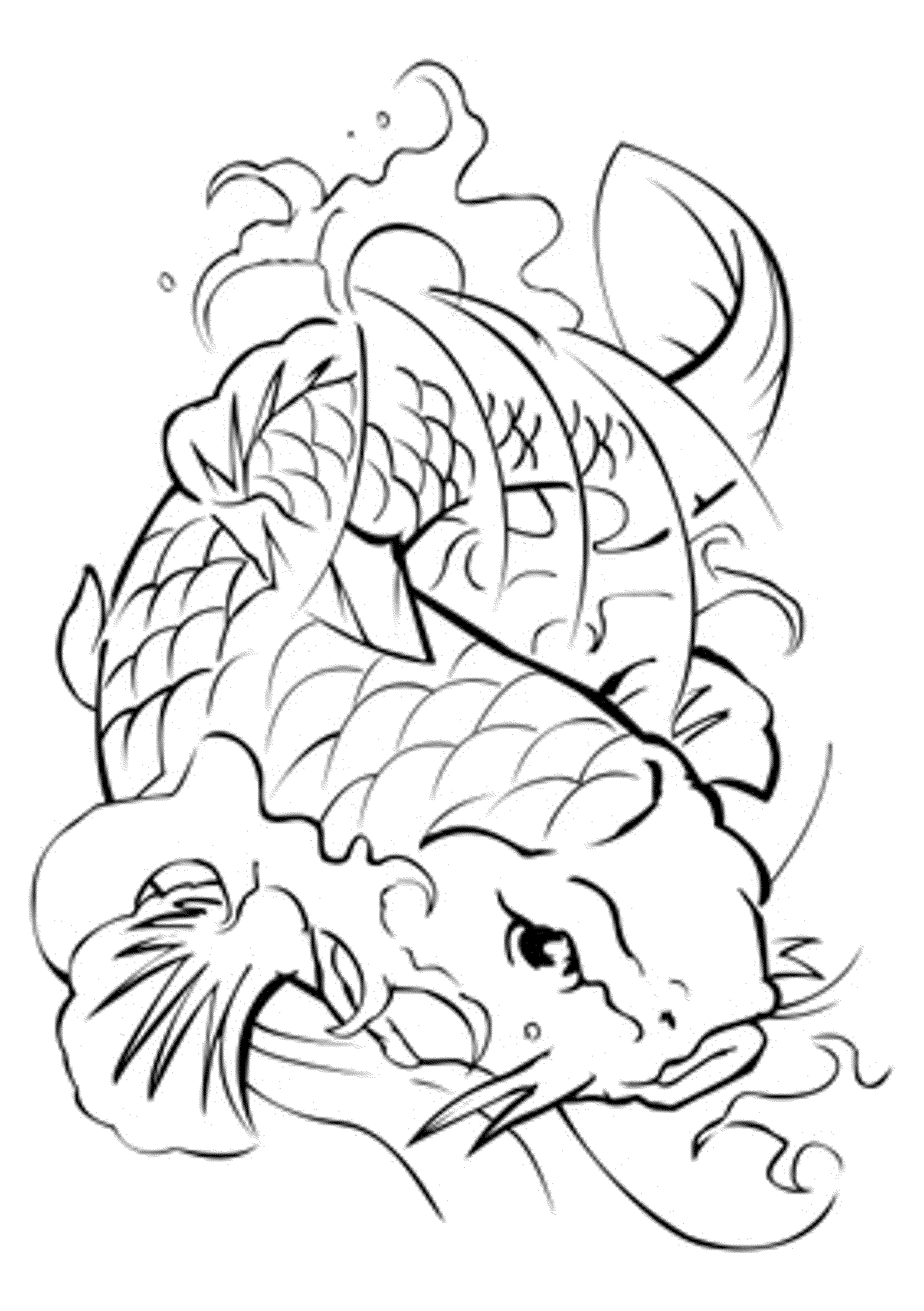 2000x2837 Print Download