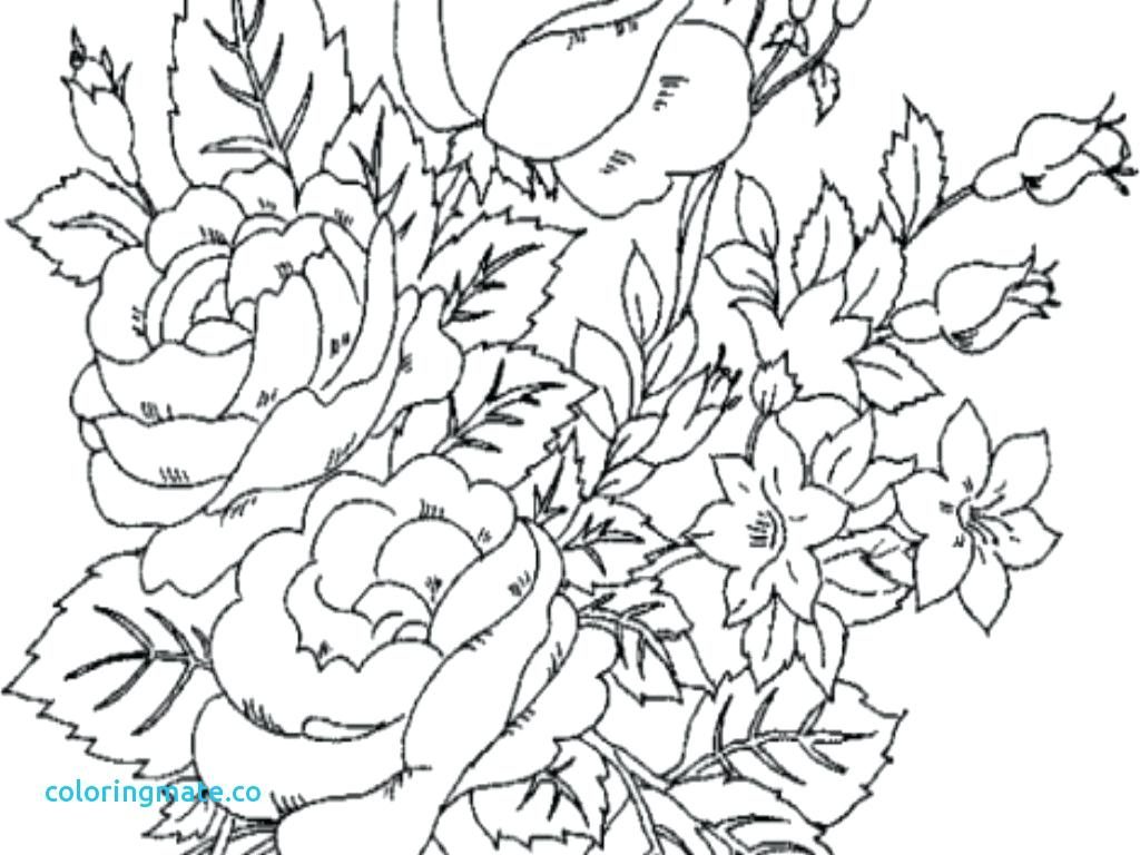 1024x768 Coloring Page Free Printable Advanced Coloring Pages Flower Pot