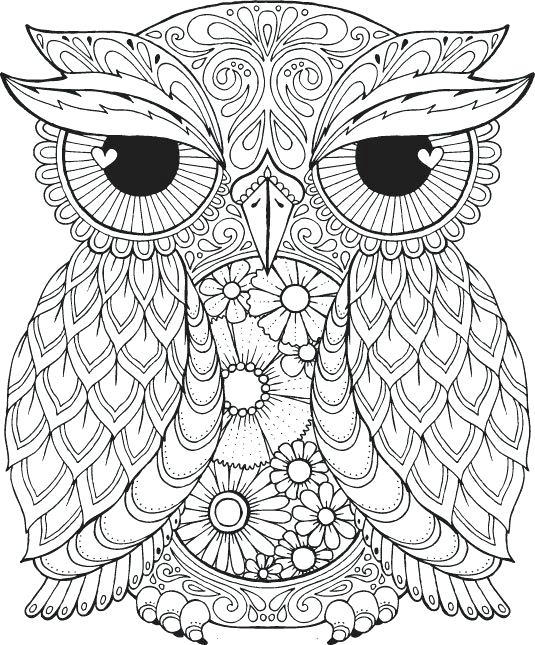 535x645 Color Pages Of Animals Superb Animal Mandala Coloring Pages