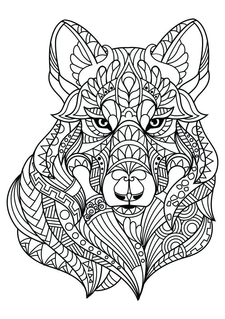 736x1040 Intricate Coloring Pages Animals Awesome Animal Coloring Pages