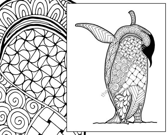 570x457 Penguin Coloring Sheet Animal Coloring Pdf Zentangle